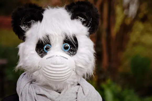 יוניבט קזינו תמיכה